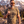 Dangerous Freedom | T-Shirt